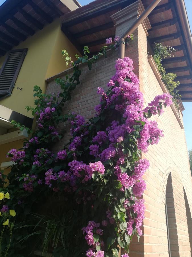 Casolare Isabella "Il Rifugio Dei Vinili" And Alice'S Room بونساكو المظهر الخارجي الصورة